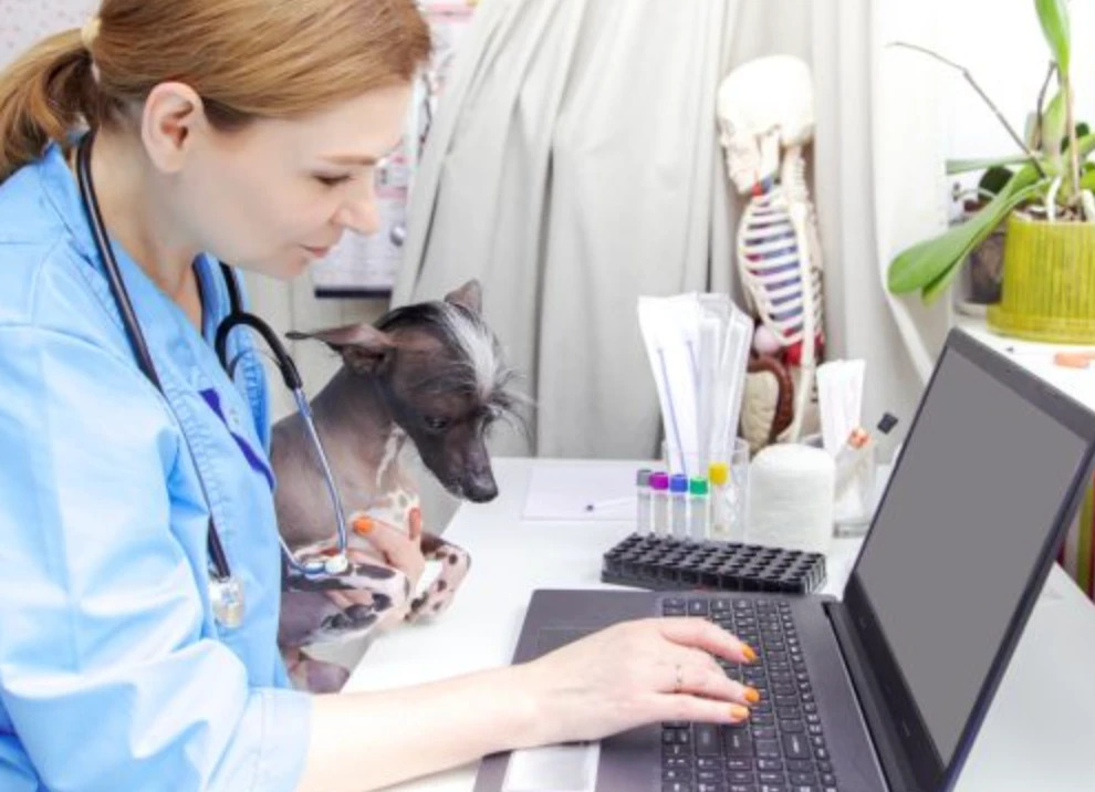 CRM для ветеринарних клінік